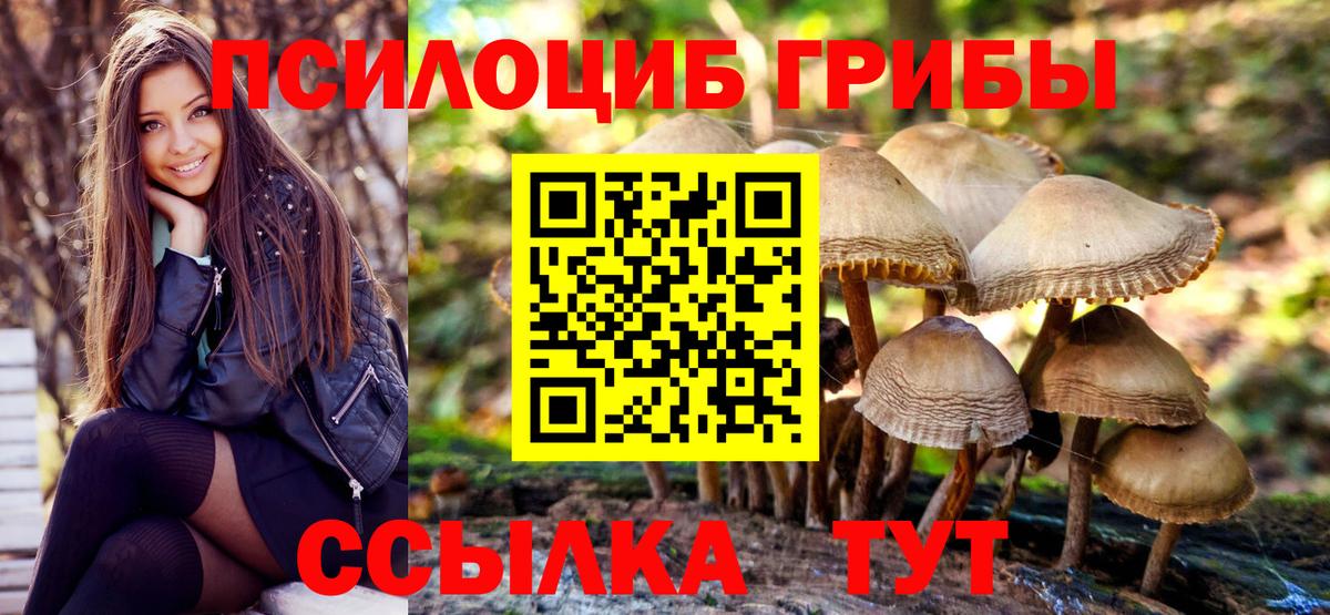 Галлюциногенные грибы Cubensis Нефтекумск